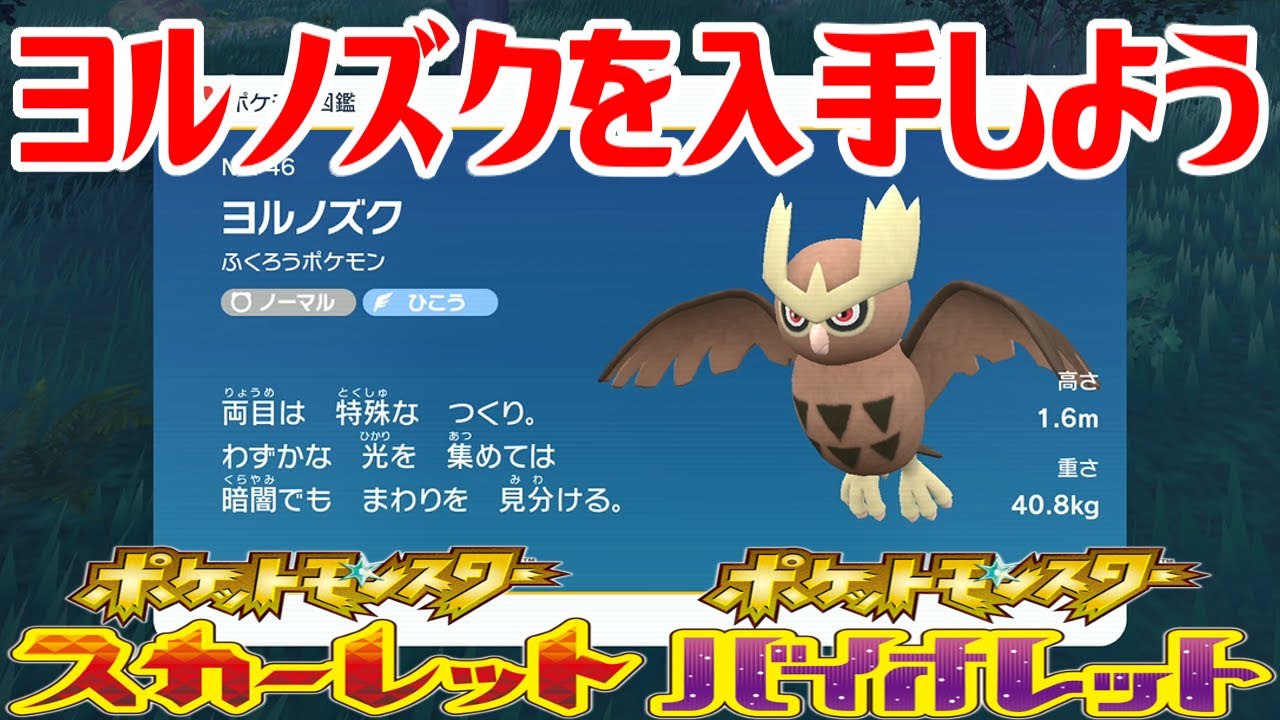 【ポケモンSV】ヨルノズクを入手しよう【ポケットモンスター スカーレット・バイオレット ゼロの秘宝 碧の仮面】Pocket Monsters