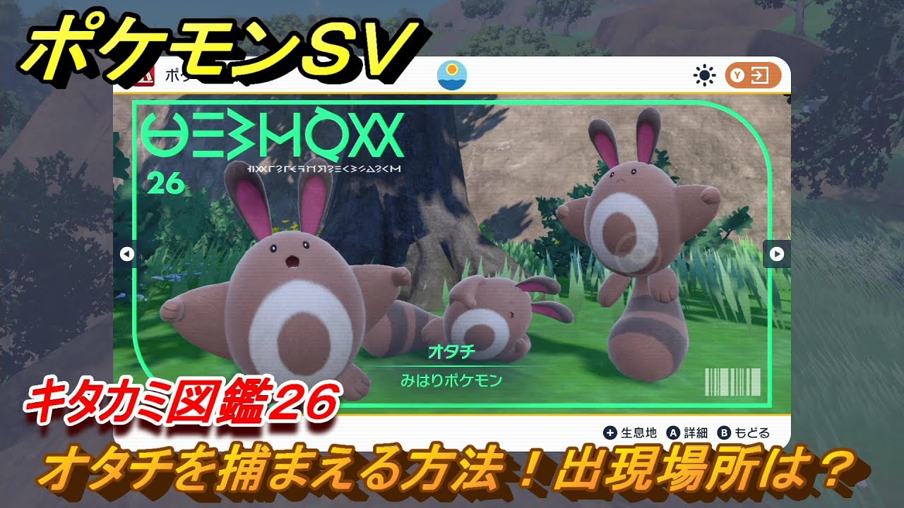 ポケモンＳＶ　オタチを捕まえる方法！出現場所は？　キタカミ図鑑２６　ポケモン図鑑を完成させよう！　＃６３　【DLCゼロの秘宝　碧の仮面・藍の円盤】