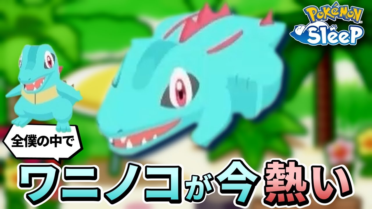 全僕の中でワニノコが熱い話【 ポケモンスリープ シアンの砂浜 】【毎日記録】