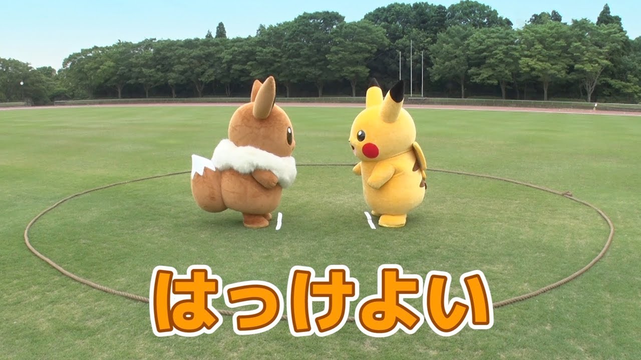 【公式】イーブイ vs ピカチュウ勝つのはどっち？ 種目：相撲