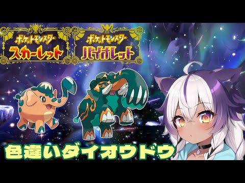 【ポケモンSV】色違いゾウドウ → ダイオウドウ【ポケットモンスタースカーレットバイオレット】