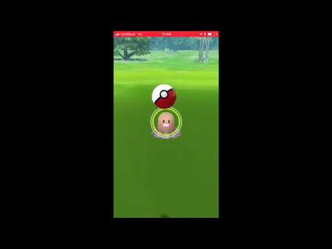 野生のディグダが現れた ポケモンGO