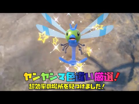 ポケモンSV ヤンヤンマ色違い厳選！　効率のいい場所を見つけました！！