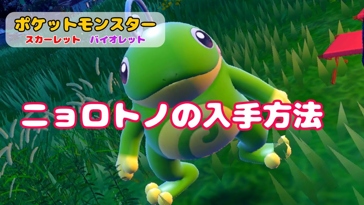 ニョロトノの入手方法 出現場所【ポケモンSV】【スカーレットバイオレット】 #ポケットモンスタースカーレットバイオレット  #ポケモンsv  #ニョロゾ #ニョロモ
