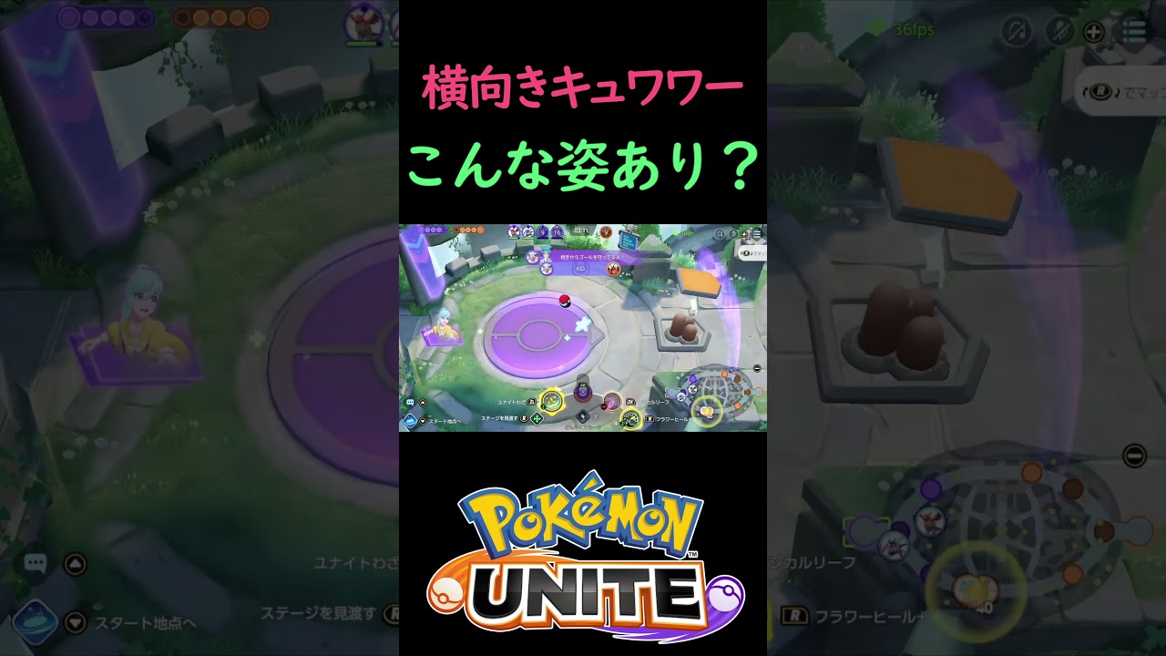 キュワワーの新しい姿が爆誕したｗｗ【ポケモンユナイト】#shorts