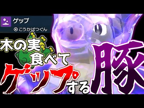 木の実食ってゲップするブーピッグで全抜きを目指すランクマッチ！【ポケモンSV】【ゆっくり実況】