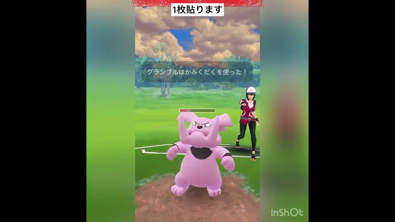 Sハガネールがつ、つよいっ‼️