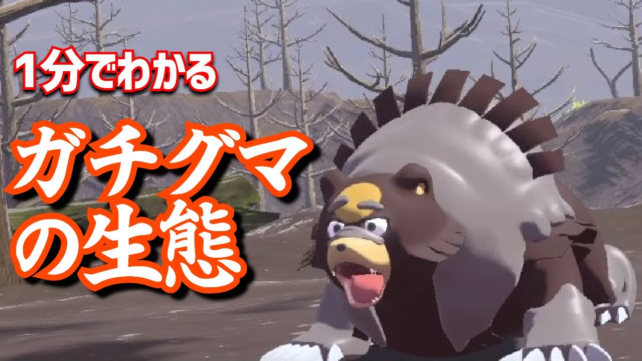 【アルセウス】1分でわかるガチグマの生態｜ポケモンレジェンズアルセウス、ポケモンgo #Shorts