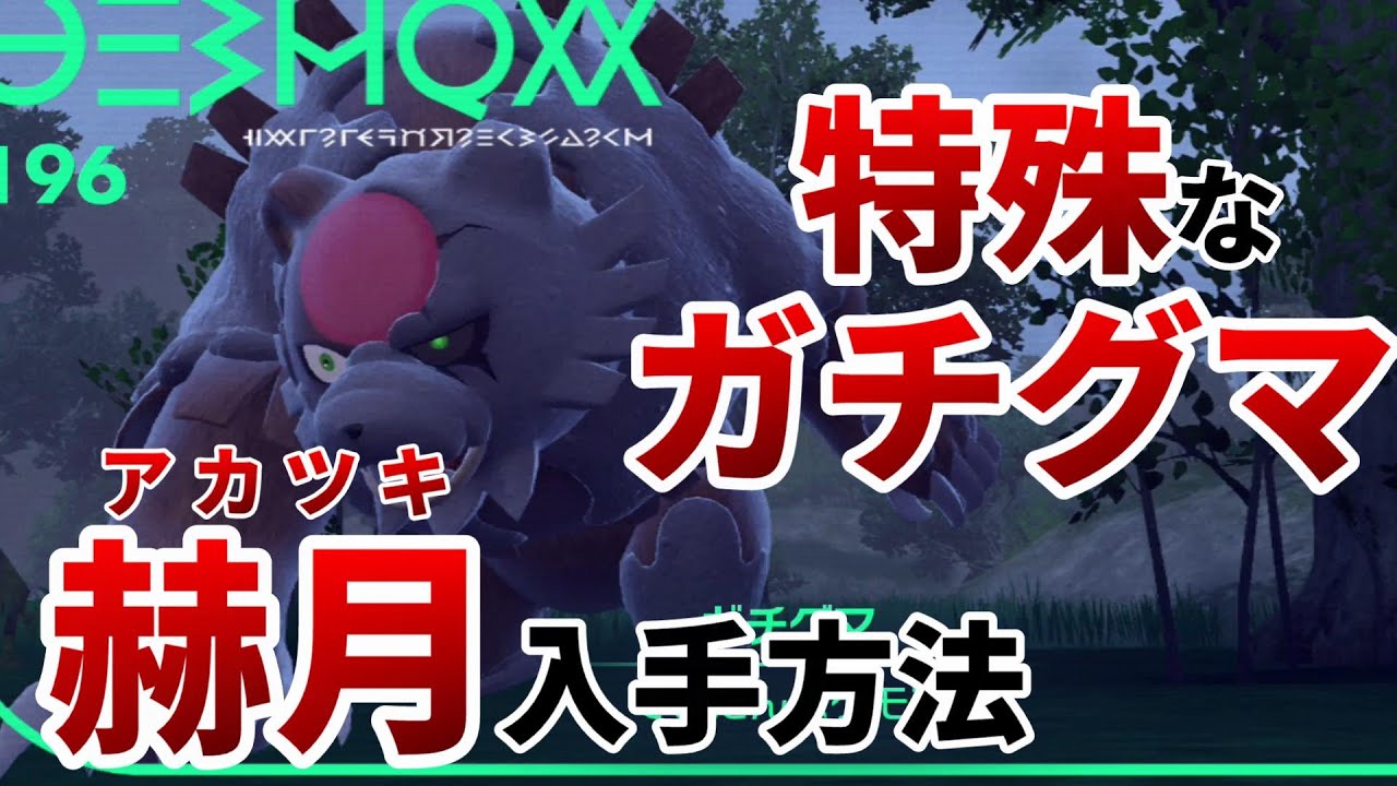 【ポケモンsv】特殊なガチグマ赫月(アカツキ)の入手方法を紹介【ポケットモンスター スカーレット・バイオレット ゼロの秘宝 前編・碧の仮面】