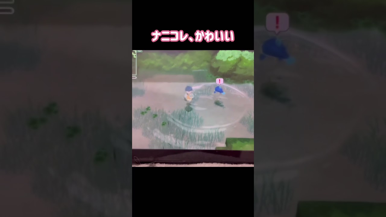 野生？のナマズン【ポケモンブリリアントダイヤモンド】