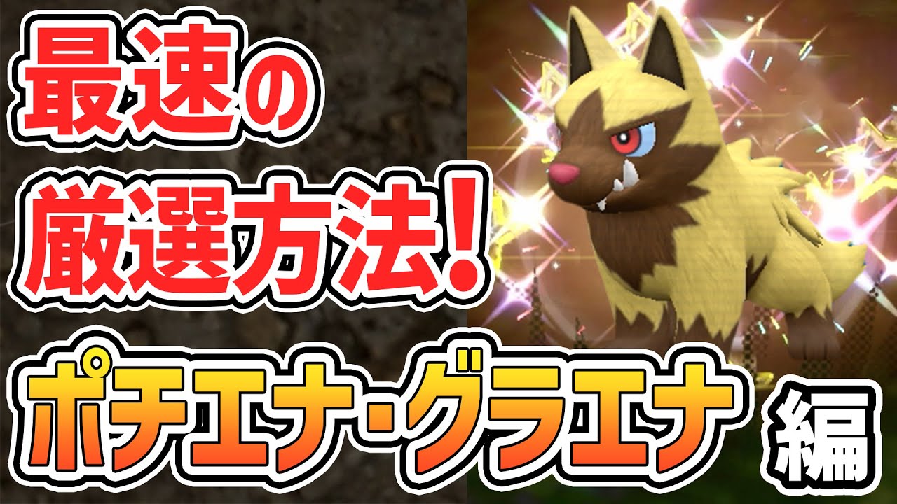 1番簡単にポチエナ・グラエナの色違いを厳選する方法まとめ！ 【 ポケモンsv 碧の仮面 】