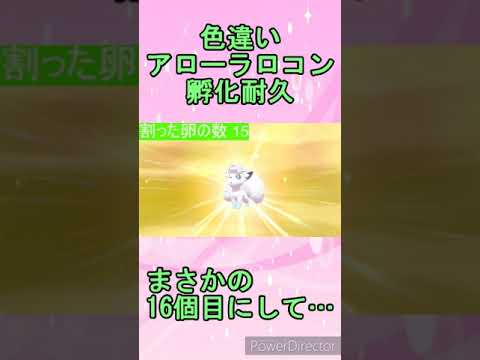 色違いアローラロコン孵化耐久 まさかの16個目にして…【ポケモン】#shorts