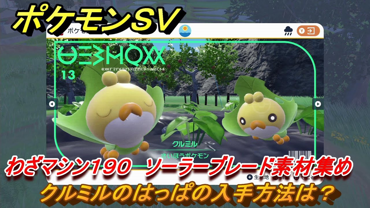 ポケモンＳＶ　わざマシン１９０　ソーラーブレード素材集め　クルミルのはっぱの入手方法は？　＃２６２　【DLCゼロの秘宝　碧の仮面・藍の円盤】