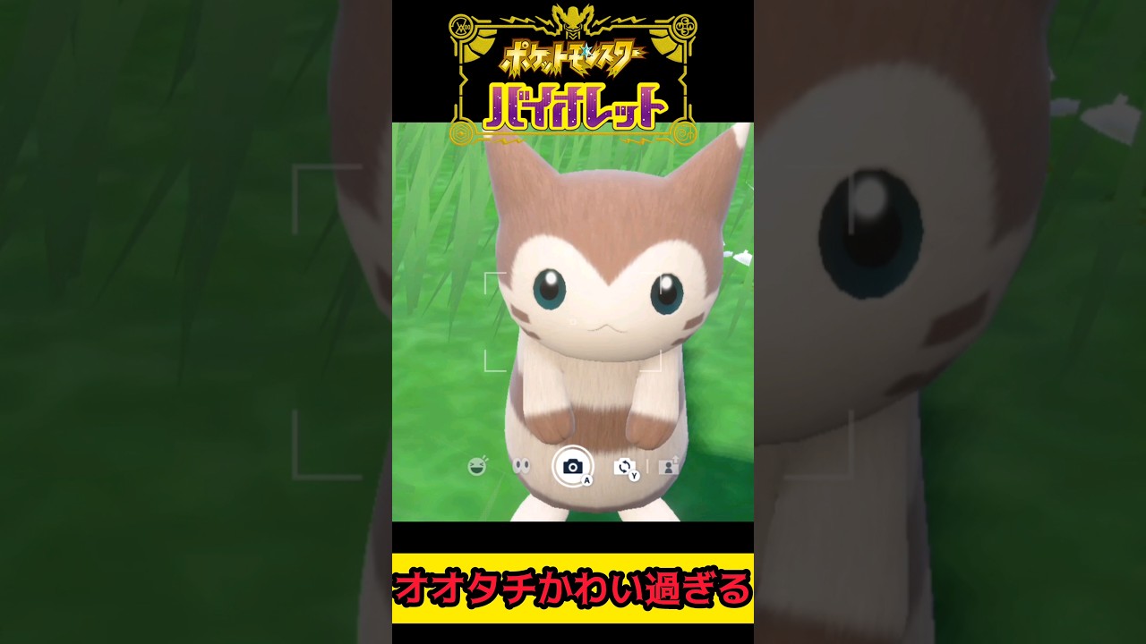 ポケモンSVのオオタチが可愛すぎる一番好き【ポケモンSV ポケモンスカーレット/バイオレット】 #shorts #pokemonscarlet  #pokemonviolet