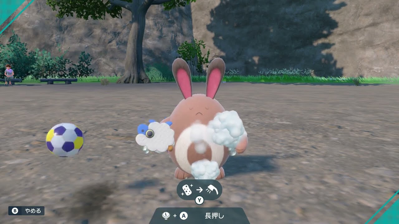 【ポケモンSV】オタチとたわむれる【スカーレット/ヴァイオレット】