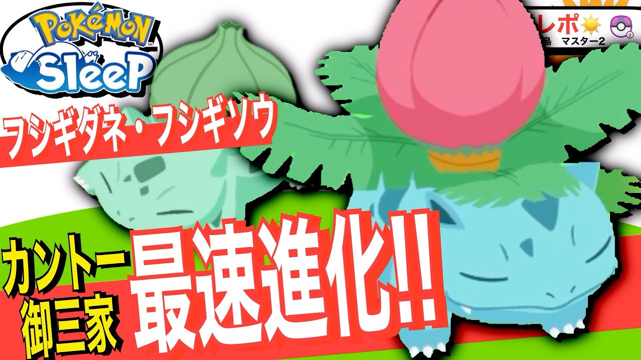 食材の要、カントー御三家最速進化！フシギソウ【ポケモンスリープ】