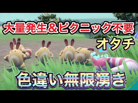【ポケモンSV】色違いのオタチを大量発生とピクニックなしで無限に色違い厳選できる場所とやり方を紹介