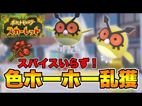 スパイス無しでも簡単に色違いホーホーを出せるやり方を紹介します！　【ポケモンSV】　【碧の仮面】