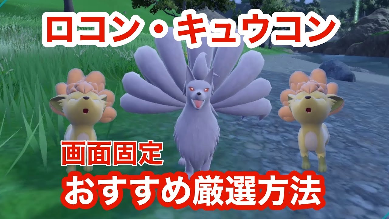 【画面固定】ロコン・キュウコンの色違いを大量発生なしで厳選できるとっておきの場所【ポケモンSV】【碧の仮面】