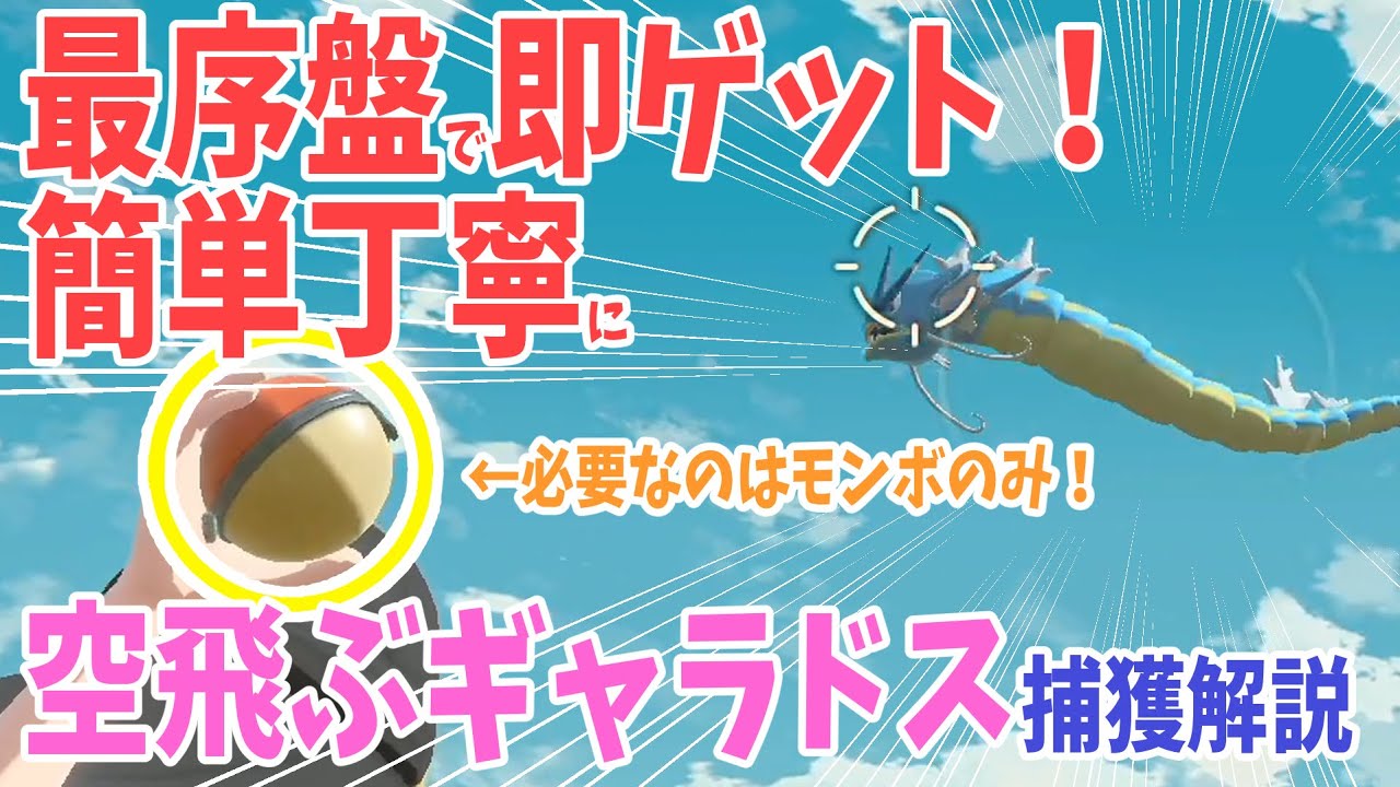 【ポケモンアルセウス】最序盤にモンボのみで捕獲できる！空飛ぶギャラドスの簡単な捕まえ方解説【Pokémon LEGENDS アルセウス】
