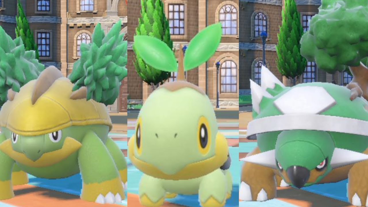 【ポケモンSV 碧の仮面】ナエトル ハヤシガメ  ドダイトス  モーション集 ピクニック【ポケモン スカーレット・バイオレット 】