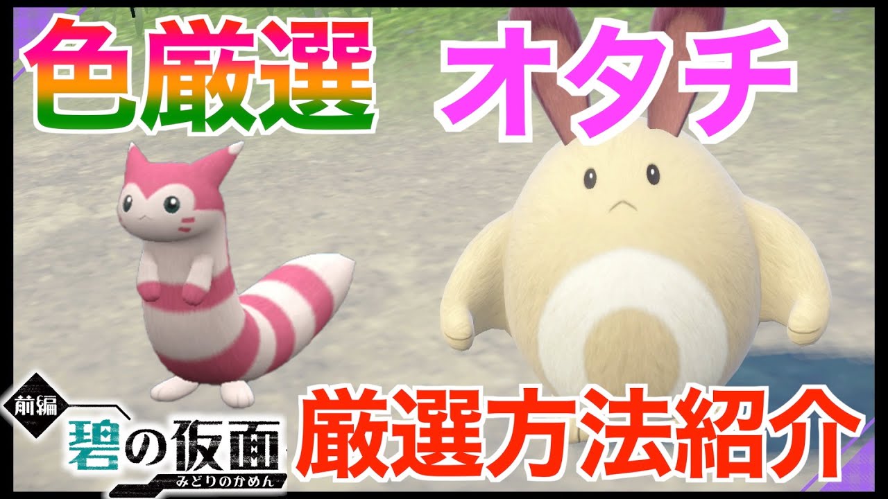 【碧の仮面】色違いオタチ厳選！かわいい色違いオオタチに進化する！厳選場所とサンドイッチの作り方！色違いポケモン厳選方法紹介！【ポケモンSV】