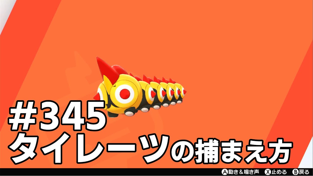 タイレーツを探している方に見てほしい動画