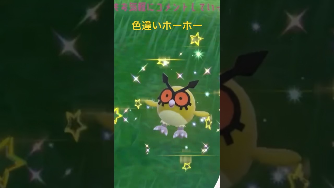 ポケモンSV色違い出現集 色違いホーホー