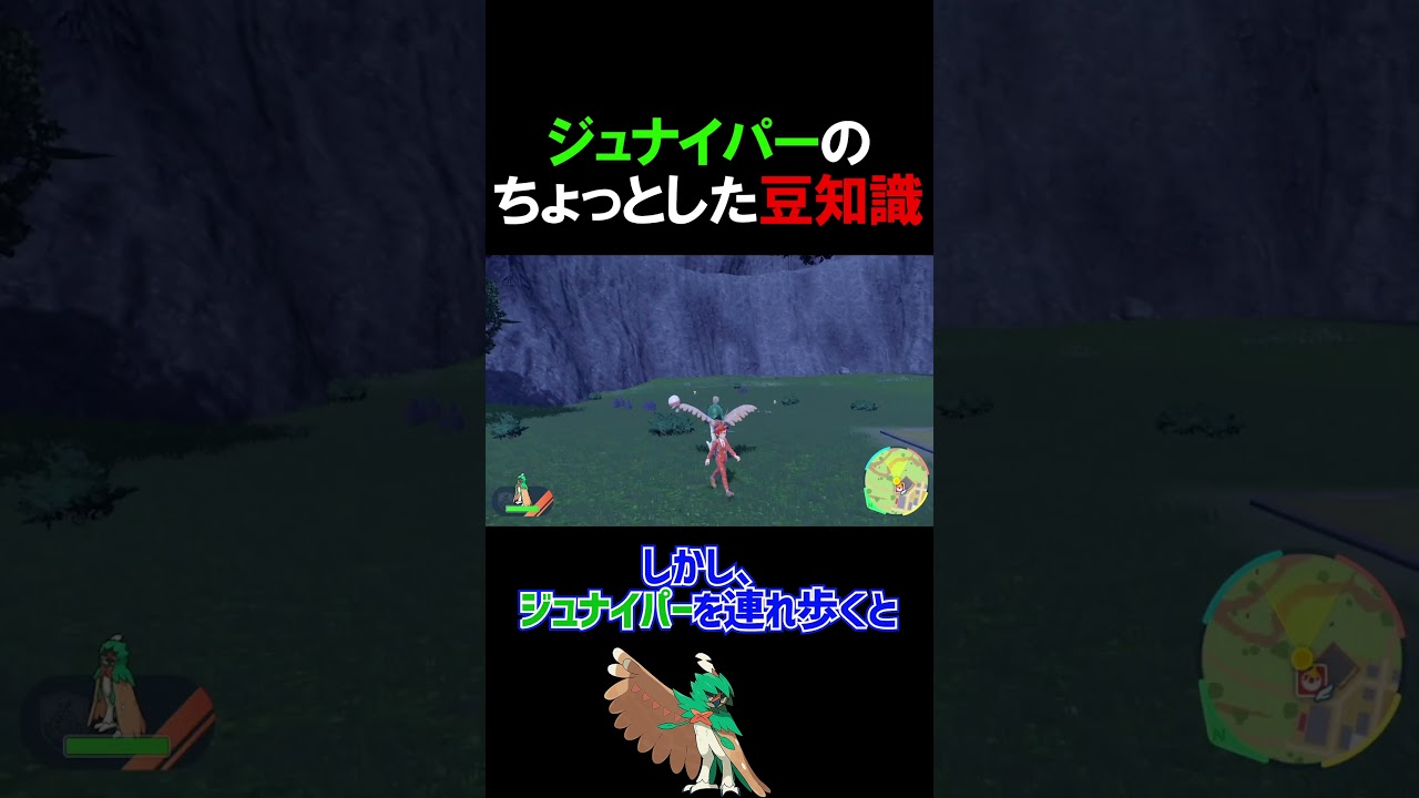 ジュナイパーのちょっとした豆知識【ポケモンSV】#Shorts​​​​​​​​​