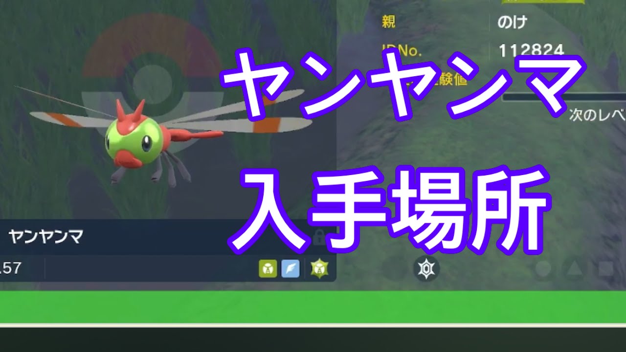 【ポケモンSV】【最新】ヤンヤンマ入手場所