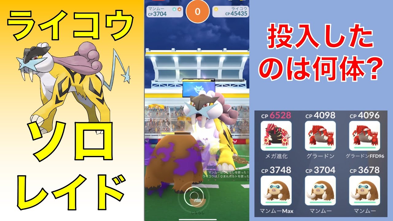 ポケモンGO ライコウ ソロレイド 投入したのは何体?