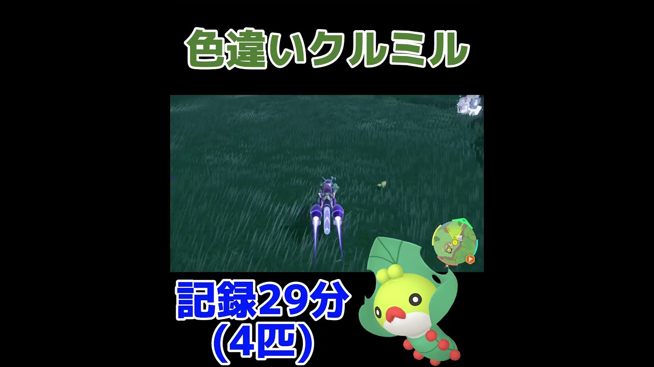 過去最多の色違いクルミル #ポケモンgo  #色違い #パルデア