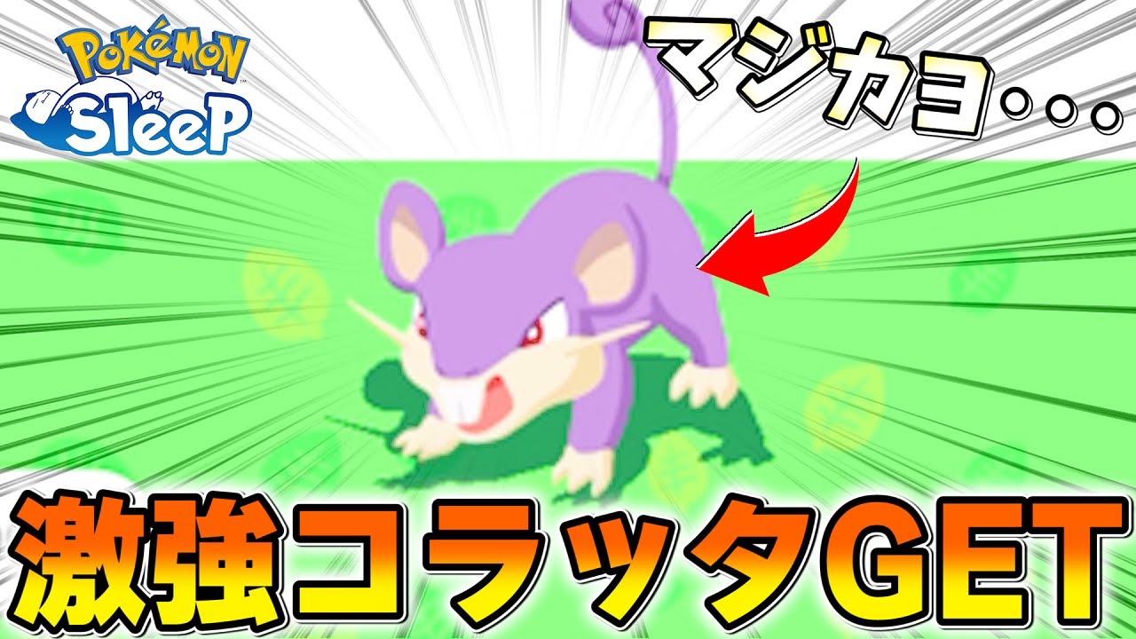 【奇跡】なにげなく捕まえたコラッタが強すぎてビビりまくるwwwwww【ポケモンスリープ/トープ洞窟】