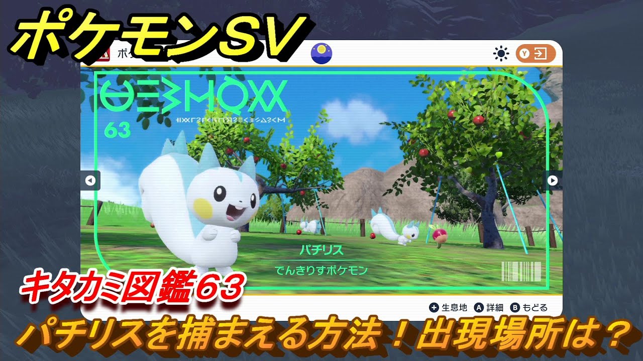 ポケモンＳＶ　パチリスの出現場所は？　キタカミ図鑑６３　ポケモン図鑑を完成させよう！　＃９６　【DLCゼロの秘宝　碧の仮面・藍の円盤】
