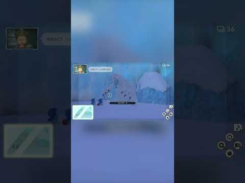 【Newポケモンスナップ NEW POKÉMON SNAP】ポッチャマをあやすツンベアー #shorts