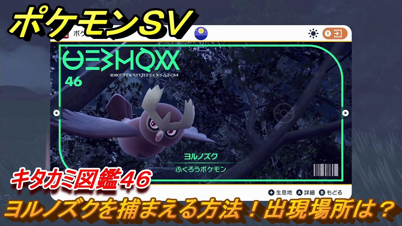 ポケモンＳＶ　ヨルノズクを捕まえる方法！出現場所は？　キタカミ図鑑４６　ポケモン図鑑を完成させよう！　＃７８　【DLCゼロの秘宝　碧の仮面・藍の円盤】