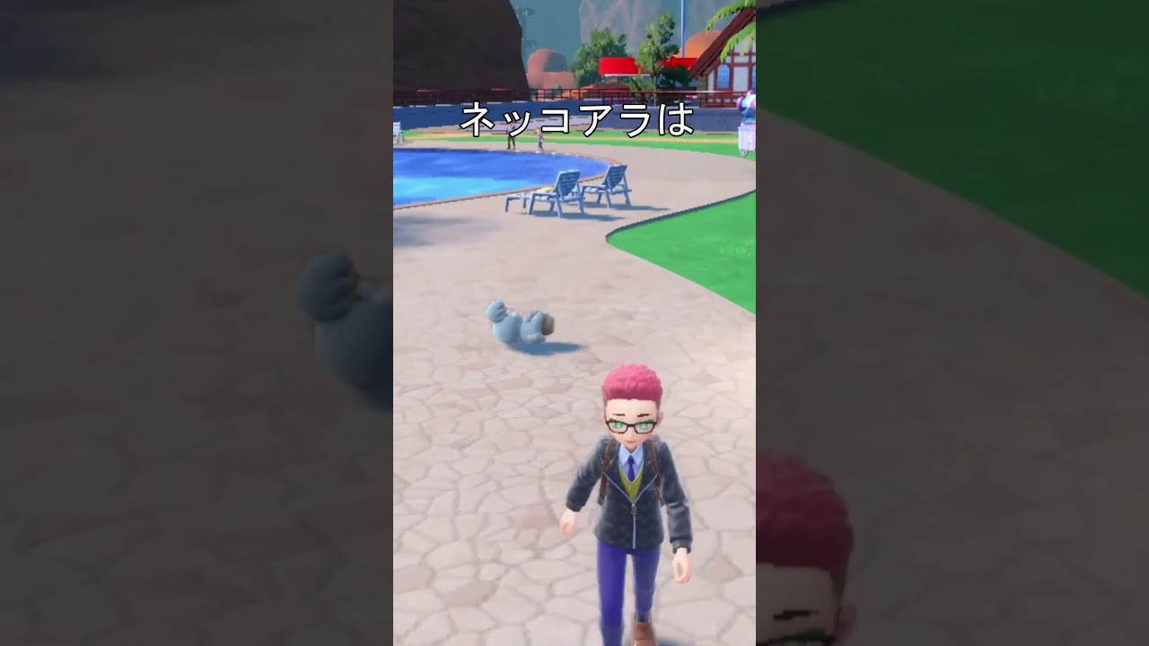 ネッコアラを、連れて歩くと、、#ポケモンsv #ポケットモンスタースカーレットバイオレット
