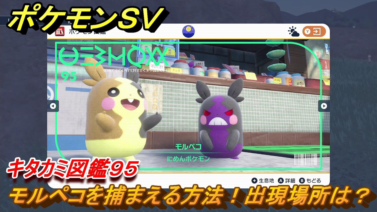 ポケモンＳＶ　モルペコを捕まえる方法！出現場所は？　キタカミ図鑑９５　ポケモン図鑑を完成させよう！　＃６９　【DLCゼロの秘宝　碧の仮面・藍の円盤】