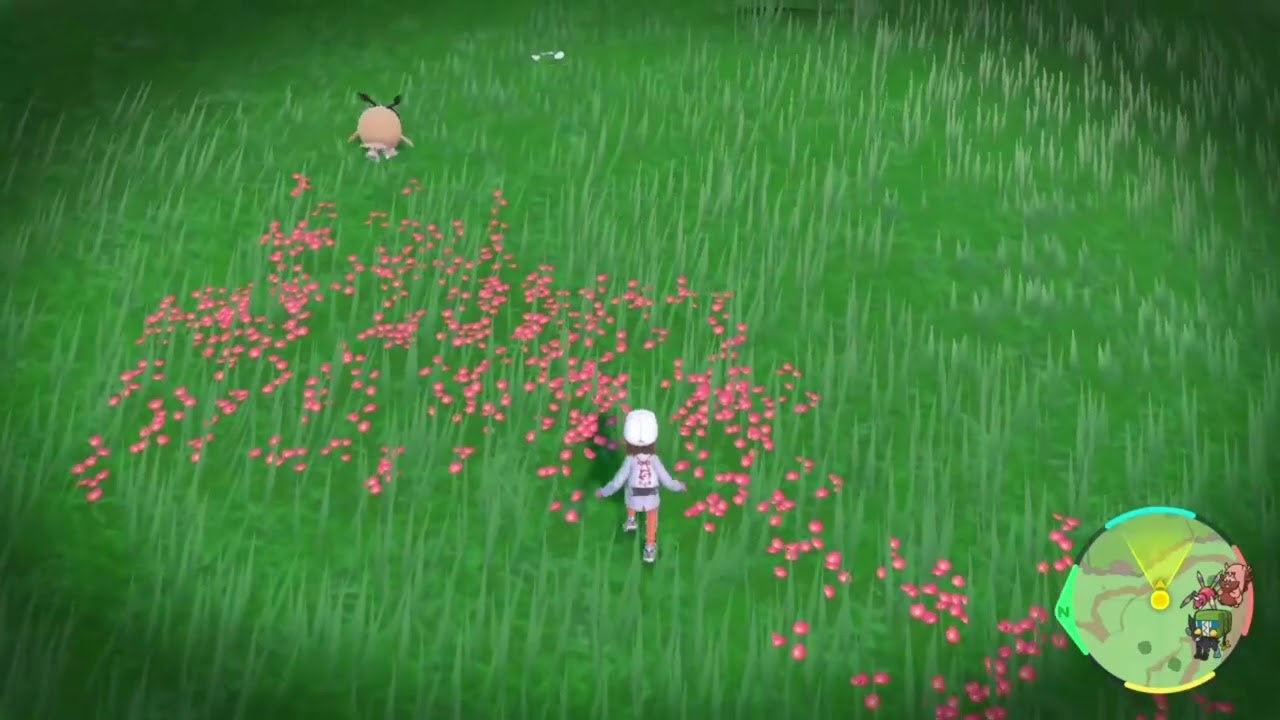 ぽてぽて歩いて走って足を入れ替えるホーホー【ポケモンsv】