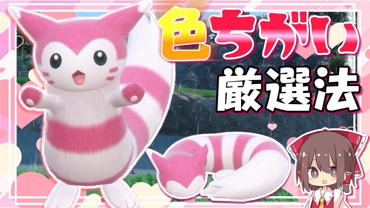 1歩も動かず！可愛いオタチ＆オオタチの色違い厳選方法【ポケモンSV】【ゆっくり実況】