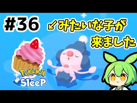 【睡眠リサーチ】＃36『マネネが登場』【無課金ポケモンスリープ】【ゆっくり実況ずんだもん】