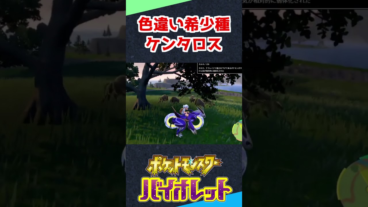 色違い希少種ケンタロスが出たぞ！【ポケモンSV】 #shorts