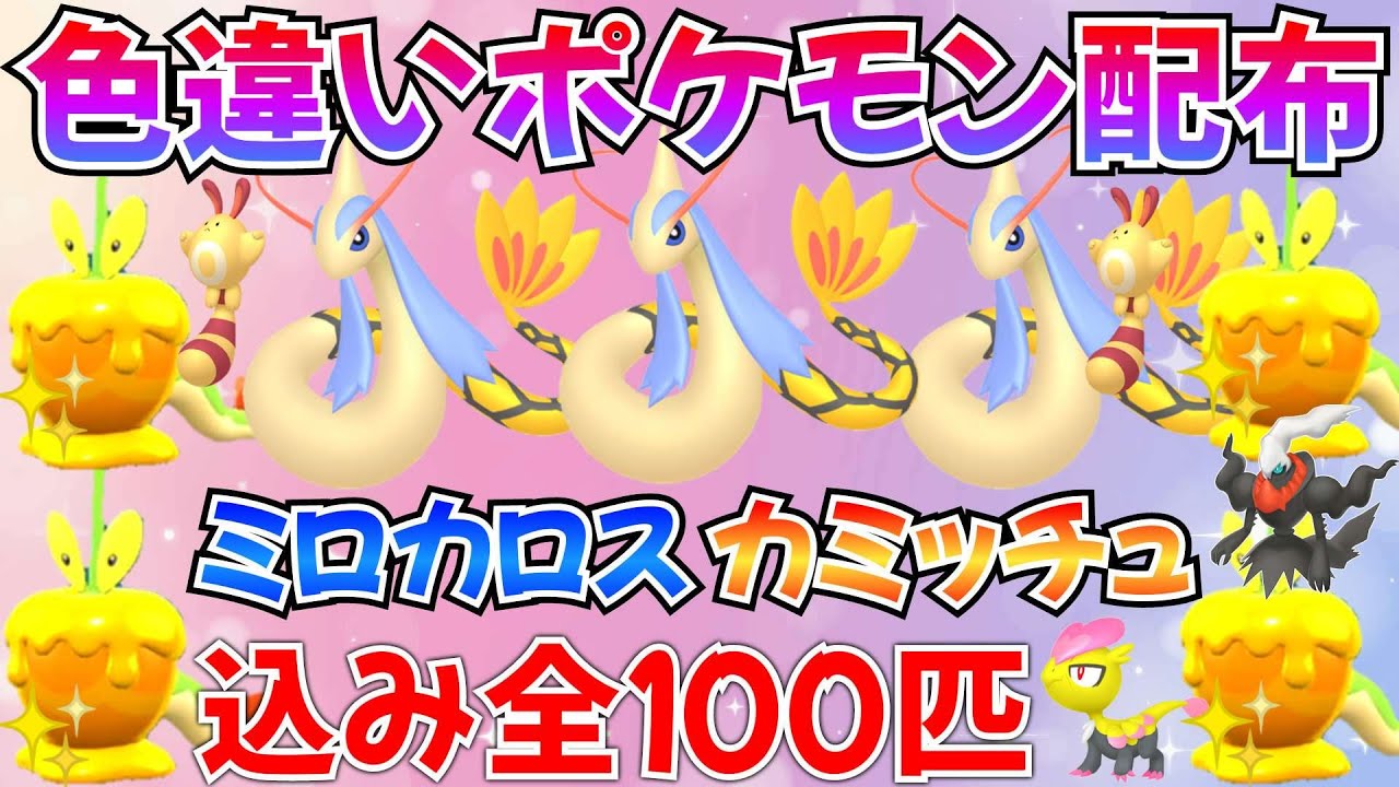 【ポケモンSV 碧の仮面】色違いポケモン配布 ミロカロス カミッチュ オタチ ジャラコなど ダークライ抽選  #ライブ #ポケモン配布