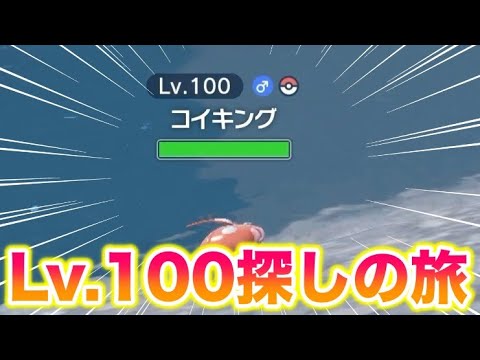 【厳選】Lv.100コイキングの色違いをゲットしよう【ポケモンSV/碧の仮面】