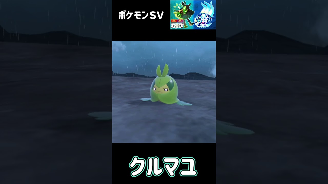 クルミル　進化　クルマユ　進化　ハハコモリ　ポケモンSV みどりの仮面　#pokemon