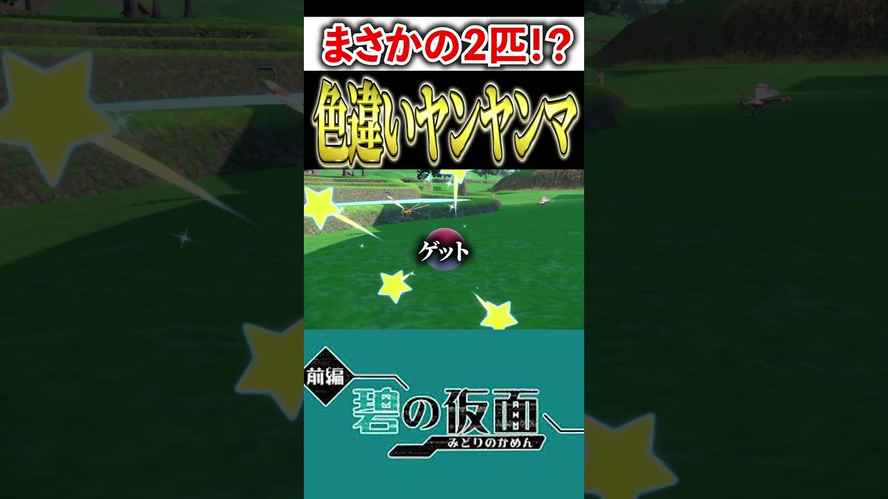 【碧の仮面】ゲーム序盤で色違いヤンヤンマを２匹見つける男　#shorts #ポケモンSV　#色違い縛り旅