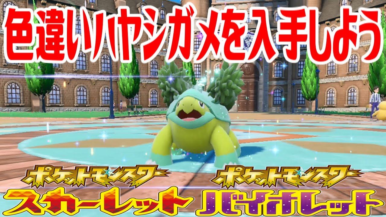 【ポケモンSV】色違いハヤシガメを入手しよう 進化入手【ポケットモンスター スカーレット・バイオレット ゼロの秘宝 碧の仮面】Pocket Monsters