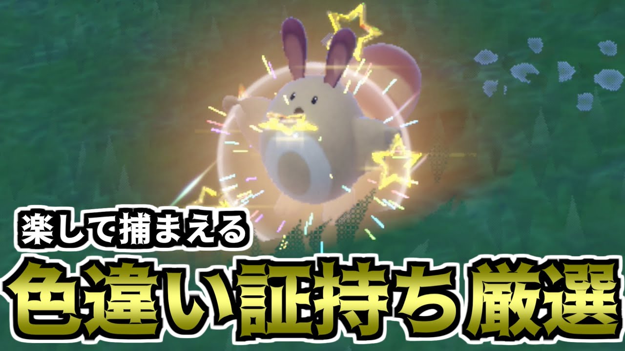【ポケモンSV】楽して捕まえる色違い厳選方法（オタチ）【ゆっくり実況】