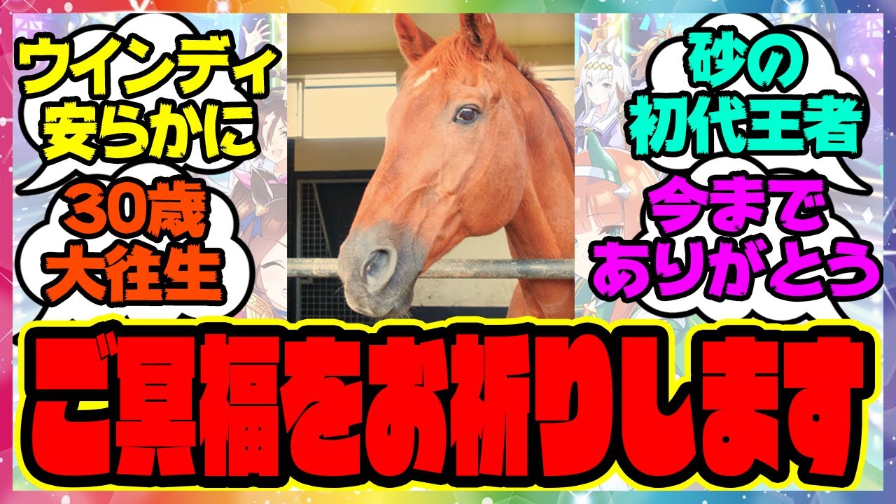 訃報『シンコウウインディ亡くなる、30歳』に対するみんなの反応集 まとめ ウマ娘プリティーダービー レイミン ウインディちゃん