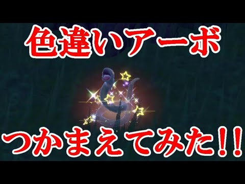 【ポケモンSV】色違いアーボつかまえてみた！！